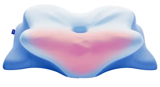 Order Derila Ergo Pillow 